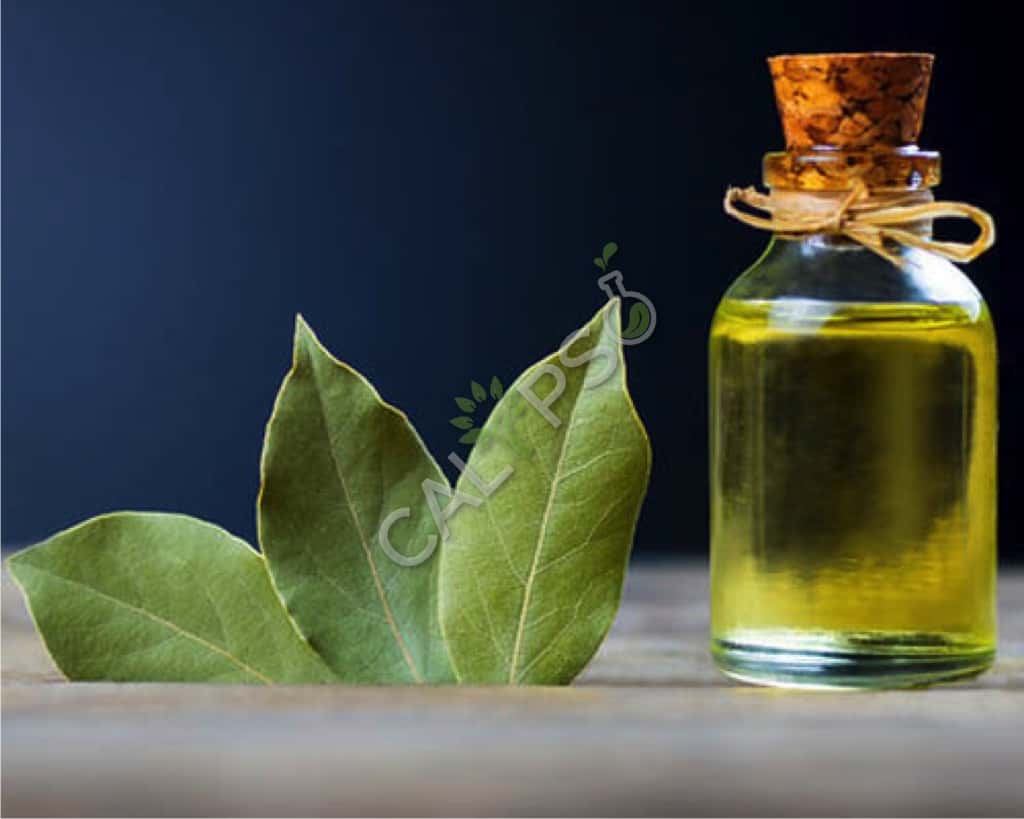 Aceite de especias de la hoja de laurel